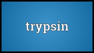 Trypsin Meaning [upl. by Tor]