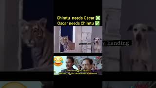 Chimtu needs Oscar ❌ Oscar needs chimtu✅ crazyvlogs CrazyVlogs0817 [upl. by Eohce562]