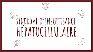 Sémiologie Hépatique  Insuffisance Hépatocellulaire [upl. by Eugenia]