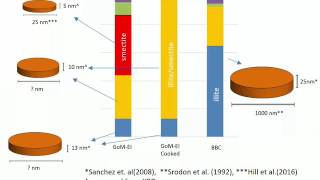 SmectiteandIllite [upl. by Phelia367]