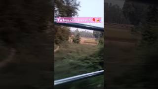 Muskil hai song Vicky Vidya ka wo wala vedio newsong ytshorts love travel lucknowtourism [upl. by Olathe308]