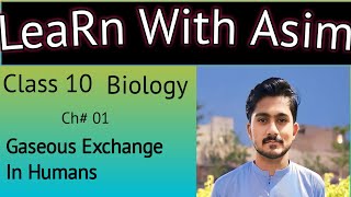 Gaseous exchange in humans  Biology 10th chap1  Exchange of gases in humans [upl. by Alta]