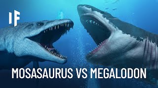 What If the Megalodon Shark Fought the Mosasaurus [upl. by Glogau]