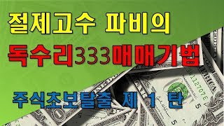 파비의 주식초보탈출 제1탄 독수리 333 매매 기법과 전략 [upl. by Nolos889]