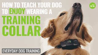 PATPET 301 Remote dog training collar instructions [upl. by Aisekal]