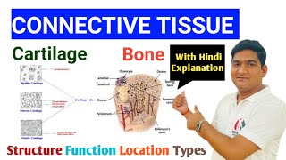 Connective Tissue  Cartilage  Bone Structure Function Location Types हिंदी Explanation के साथ [upl. by Ayoral]