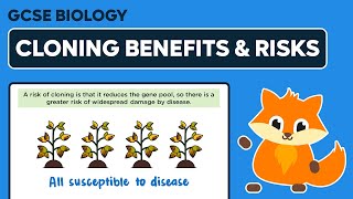 Benefits and Risks of Cloning  GCSE Biology [upl. by Rotceh]