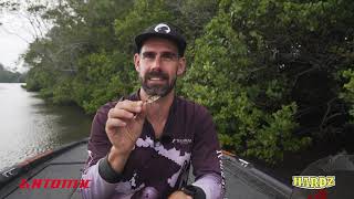 How To Catch Bream on Lures with Tristan Taylor [upl. by Clorinde]