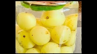 നെല്ലിക്ക ഉപ്പിൽ ഇട്ടത് Kerala style nellikka Uppilittathu gooseberrynellikka recipe malayalam [upl. by Yzzo]