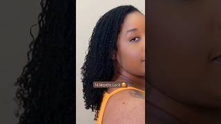 Sisterlocks Transformation 14Month Journey on Thin Hair [upl. by Anividul519]