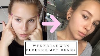 Wenkbrauwen zelf kleuren met henna 🤔  Silke Saudemont [upl. by Sikram]