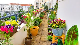 Planting a LOT Of Petunias On My Balcony [upl. by Livvie]