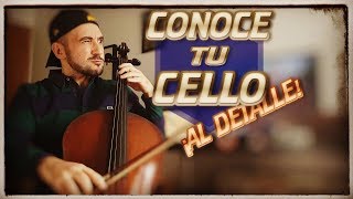 🎻 CÓMO FUNCIONA EL VIOLONCHELO  conoce tu instrumento  1ªparte [upl. by Machutte]