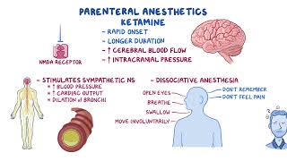 General Anesthetics  OSMOSIS CNS ANS Pharmacology drugs 🔥 [upl. by Rasecoiluj]