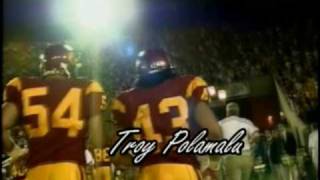 A Tribute to Troy Polamalu [upl. by Abrahamsen996]