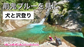 【4K】犬と沢登り🐾前鬼ブルーを見に ダイジェスト 奈良県前鬼川 [upl. by Cod]