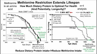 Methionine Restriction Extends LifespanWhats Optimal For Protein Intake n1 Analysis [upl. by Matlick]