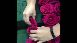 How to create a real rose flower wall [upl. by Myron]