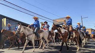 Pendleton Roundup Marching Band on a horse [upl. by Caterina]