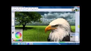 PaintNET Tutorial  How To Change The Background [upl. by Patton377]