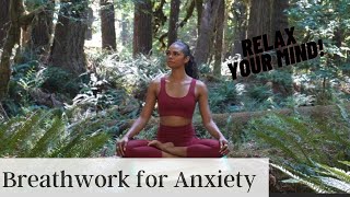 BREATHWORK FOR ANXIETY GUIDED CLASS [upl. by Ihculo]