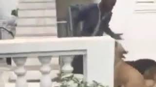 VIDEO  House Owners Allowed Their Dogs To Attack a Burglar In Bamako Mali [upl. by Ramona454]