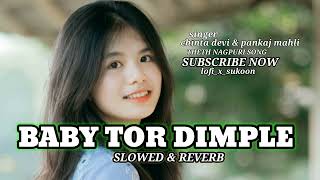 Baby Tor Dimple New Theth Nagpuri Lofi Song Singer  chintadevi amp pankajmahli [upl. by Niatsirt]