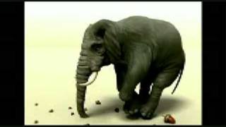 Elephant Jokes  NCCA 2nd Year Animation [upl. by Ehpotsirhc]