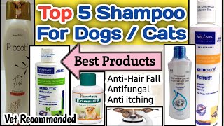 top 5 shampoo for dogscats  shampoo for dogs  100  Resulted  vet recommended  Ketochlor [upl. by Ilatfen]