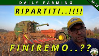 POSTALLUVIONE SI RIPARTE   CAMPAGNA INFINITA  DAILY FARMING EP 28 [upl. by Innavoeg]