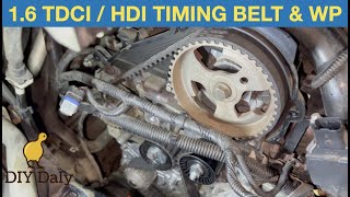 FORD 16 TDCI  PSA 16 HDI Timing belt and water pump replacement 2012 Cmax [upl. by Zetrom233]