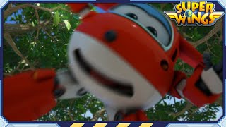 SUPERWINGS S1 Feathered Friends and more  Superwings  Super Wings  S1 Compilation EP2224 [upl. by Einiffit153]