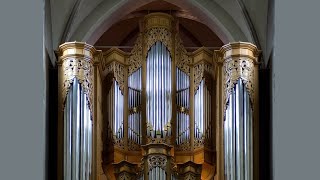 JS Bach  Fugue in g minor BWV 578  Steven Knieriem St Nicolaas Church SintNiklaas [upl. by Cosenza]