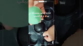 Mirabelle صناعة الصابون الطبيعي على الطريقة الباردة soap صابونطبيعي [upl. by Harbird]