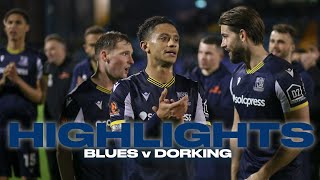 HIGHLIGHTS  Southend United 20 Dorking Wanderers [upl. by Leacim]