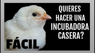 Cómo hacer una incubadora casera fácil [upl. by Nodnyl512]