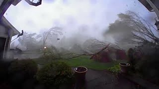 Every tree in this Michigan yard came down during tornado conditions [upl. by Small]