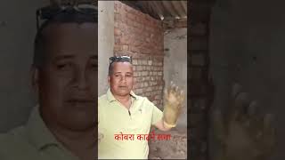 wildlife ‎Bapi da Snake Expert ‎vishal snake saver ‎Snake Rescue Muzaffarpur suggestedvideo [upl. by Hawken]