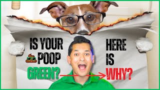 Why Is Your Poop Green Shocking Causes and When to Worry [upl. by Nizam]