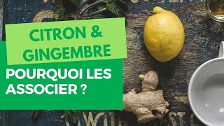 Gingembre et Citron  Pourquoi fauttil les associer Infusion [upl. by Theall684]