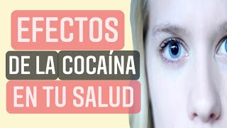 COCAÍNA Efectos en la SALUD  TOXICOLOGÍA 4 ✅✅ [upl. by Ayardna]