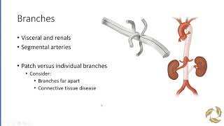 Thoracoabdominal Aneurysm Repair [upl. by Darya]