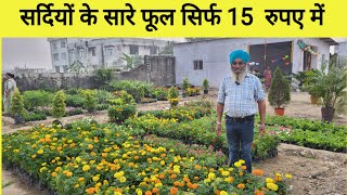 Only 15 Rupees Winter Plants Nursery  Shriguru Ramdas Nursery [upl. by Ailana]