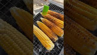 Lets make and eat healthy corn බඩ ඉරිගු 😋🔥😱 healthy corn nature mrcookup [upl. by Eelannej]