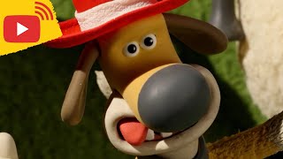 Shaun the Sheep  LIVE 🚨 BRAND NEW EPISODES 🐑 Cartoons for kids Preschool Farm Family Happy [upl. by Keily]