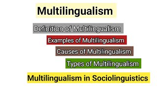 Multilingualism in Sociolinguistics  Causes of Multilingualism  Bilingualism vs Multilingualism [upl. by Coppinger]