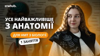 Усе найважливіше з анатомії для НМТ з біології [upl. by Adihaj]