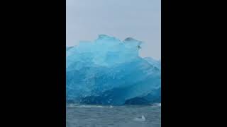 Iceberg Rolling Over Directly In Front of Boat [upl. by Anidualc]