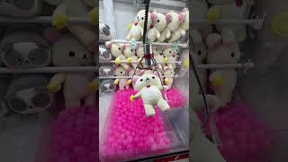 SO MANY Claw Machine Wins at Round 1 Arcade [upl. by Hyacintha]