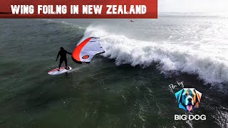 Wing Foiling in waves in New Zealand 4k [upl. by Ahsiemak]